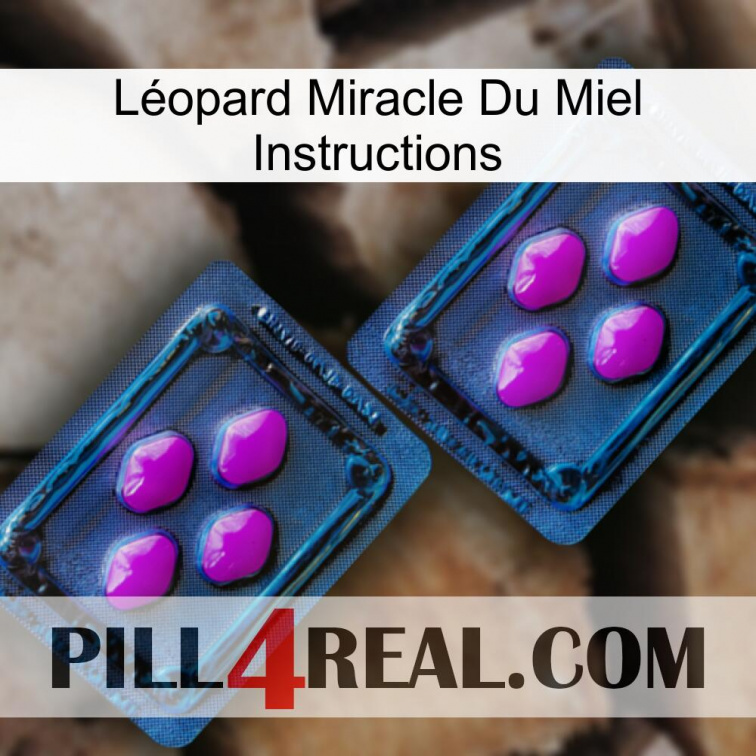 Léopard Miracle Du Miel Instructions 03